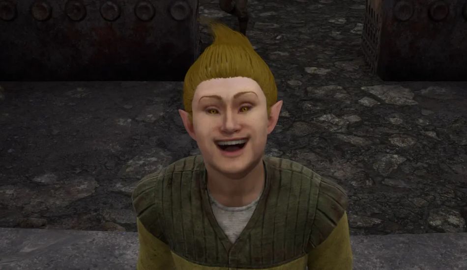 Oblivion Companions