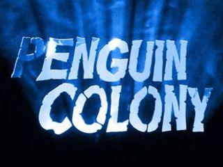 thumbnail - Penguin Colony